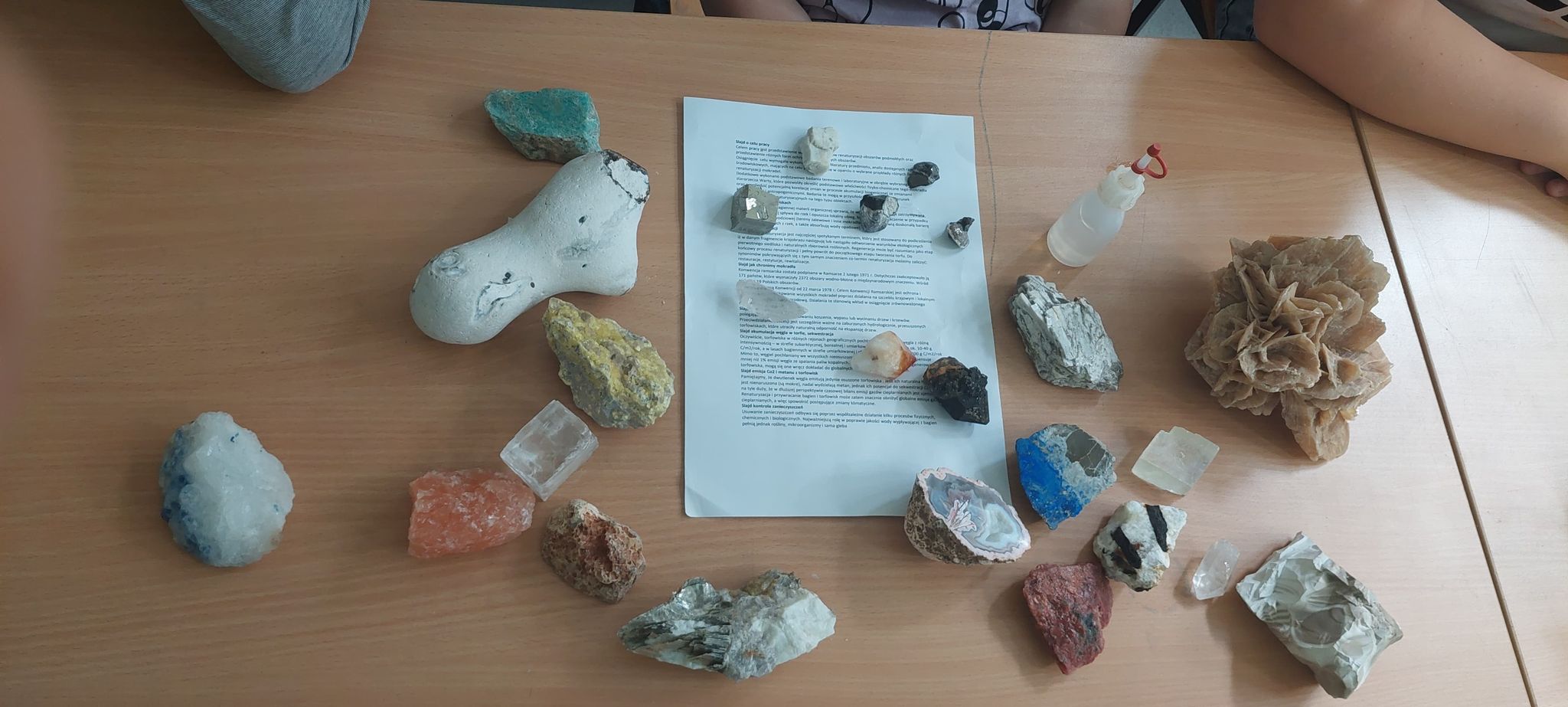 280922803 375216141311671 8305616124924271164 n