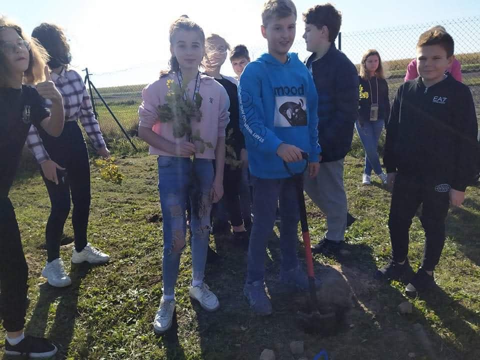 received 4372140132906064