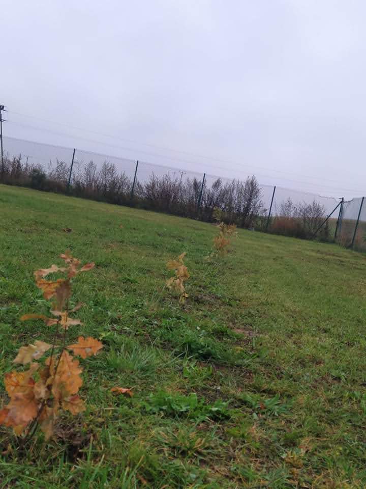 received 632179181495860