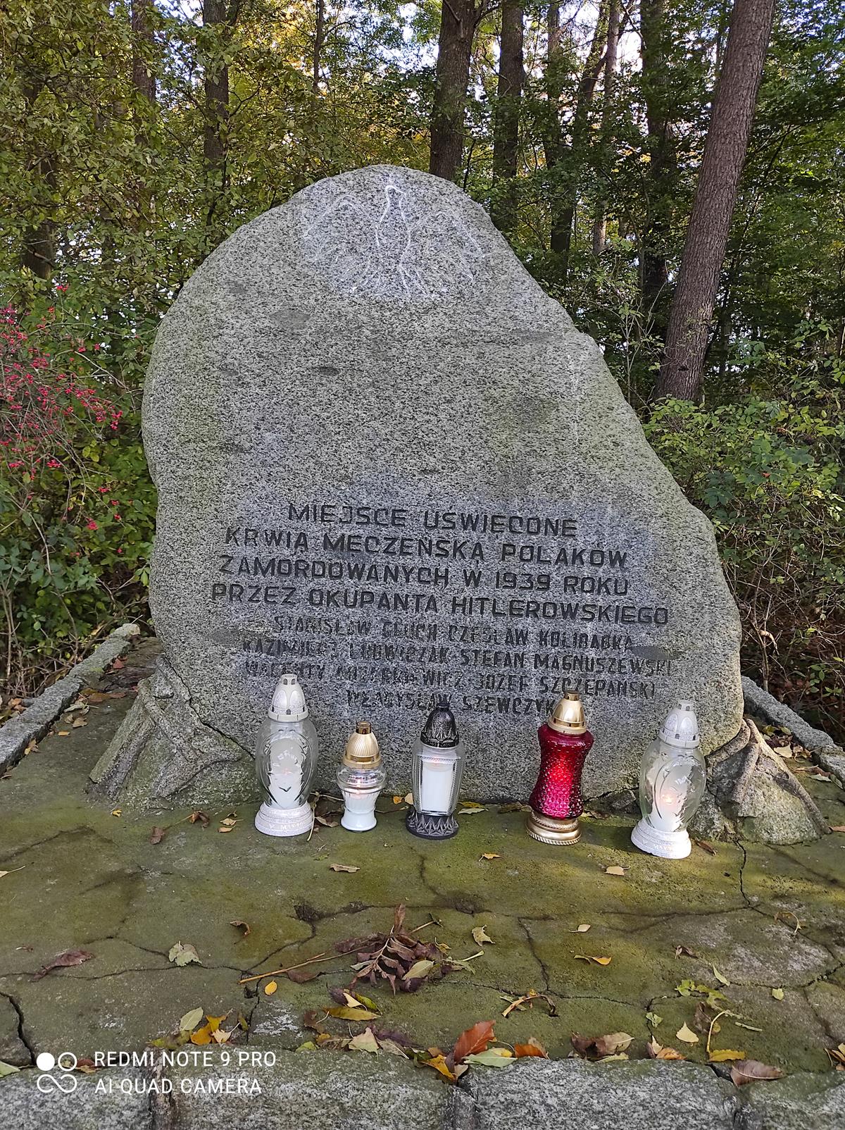 IMG 20221026 144045 Copy