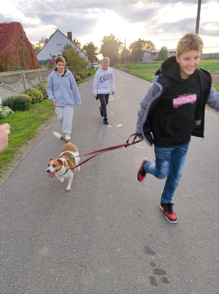 310439970 633574361570218 5859769810683950259 n Copy