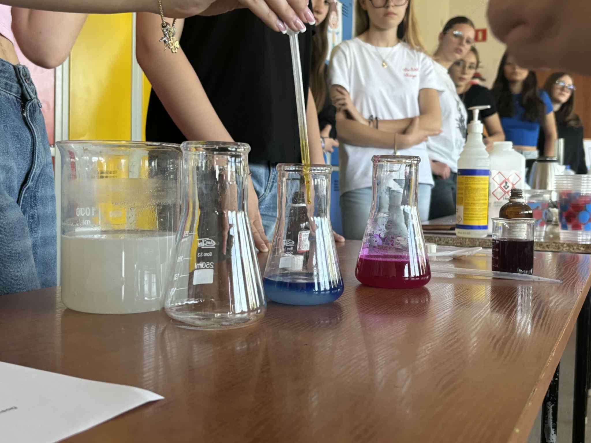 f5cc46d4 8d21 47ff 99c2 a0f90b9031c6