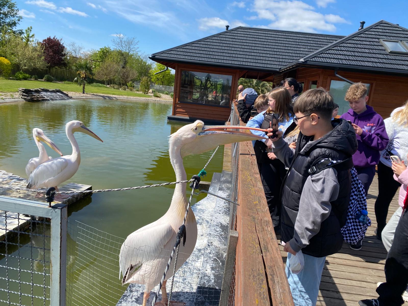 Zdjęcie WhatsApp 2025 05 12 o 16.05.33 9fe06b9c