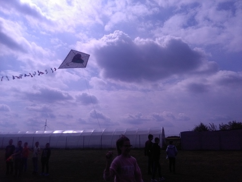 IMG 20180426 110958 800x600