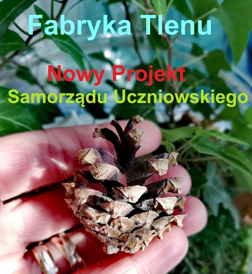 fabryka tlenu